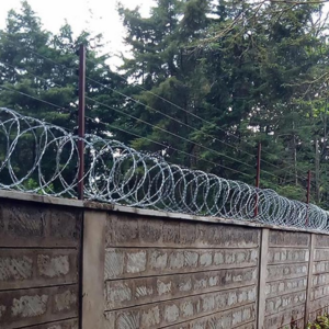 Wall Top Electric fence installation With Double Galvanized Silver Razor Wire on 50 by 100 plot